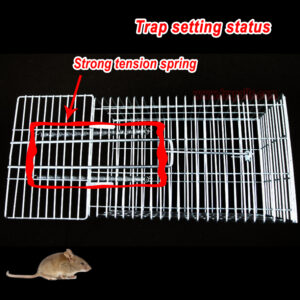 Indoor Outdoor Humane Design Rat Capture Live Catch Rodent Control Wire Mesh Cage Metal Mouse Trap Cage - Image 6