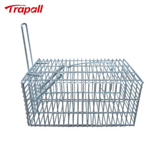 Indoor Outdoor Humane Design Rat Capture Live Catch Rodent Control Wire Mesh Cage Metal Mouse Trap Cage