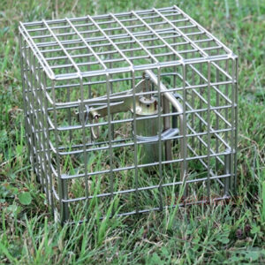 Outdoor Garden Metal Easy Set Safety Basket Gopher Killer Tool Vole Trap Protective Cage Mole Trap Cage - Image 14