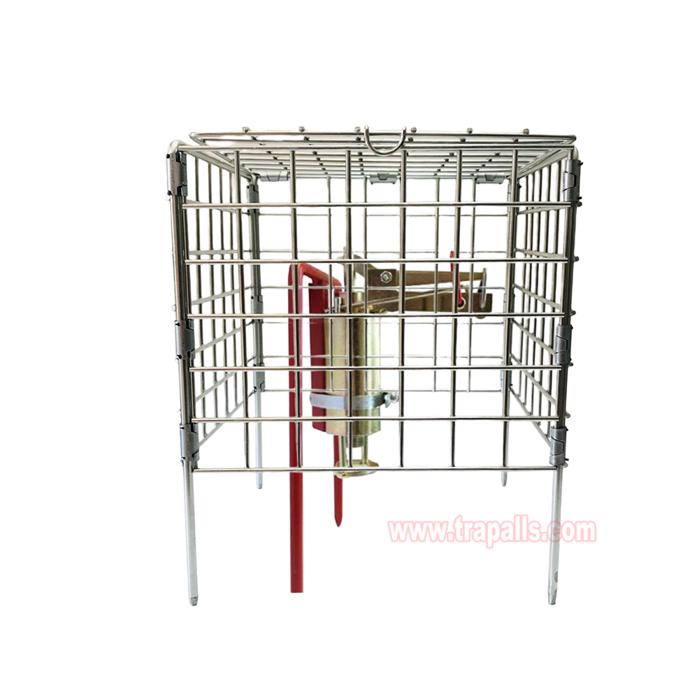 Outdoor Garden Metal Easy Set Safety Basket Gopher Killer Tool Vole Trap Protective Cage Mole Trap Cage - Image 15