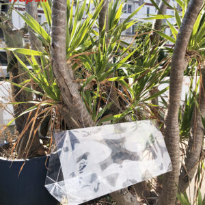 Outdoor Eco-Friendly Hanging Flying Insect Trap Pest Control Sticky Trap Moth Triangle Trap