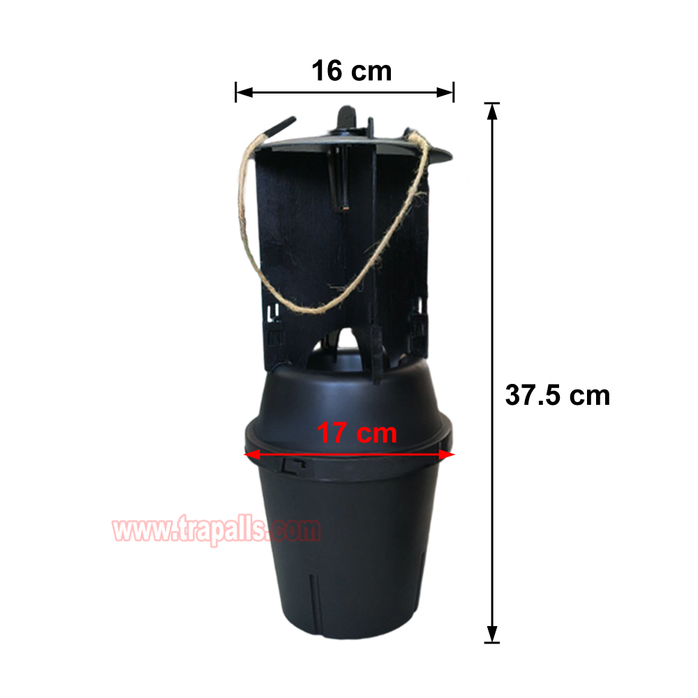 Forestry Garden Anti Escape Funnel Rhinoceros Wood Boring Insect Catcher Longhorn Beetle Pheromone Trap - Image 3