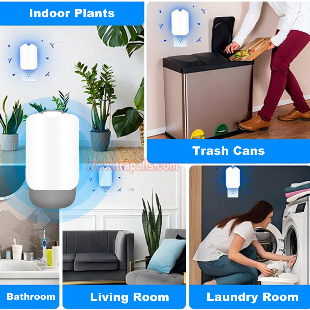 Indoor Home Plug-in UV Light Flying Insect Trap with Glue Board Moth Catcher Sticky Mosquito Killer Lamp - Image 14