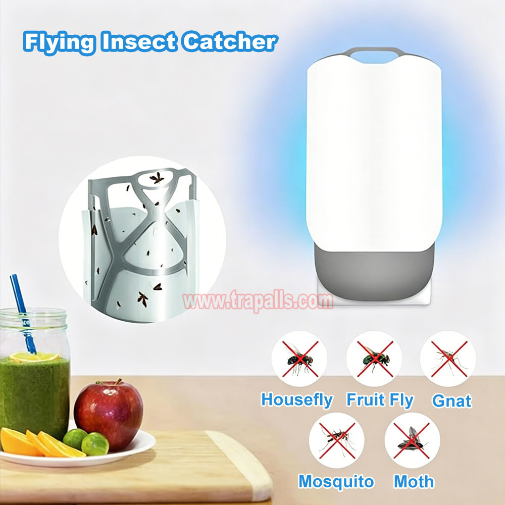 Indoor Home Plug-in UV Light Flying Insect Trap with Glue Board Moth Catcher Sticky Mosquito Killer Lamp - Image 10