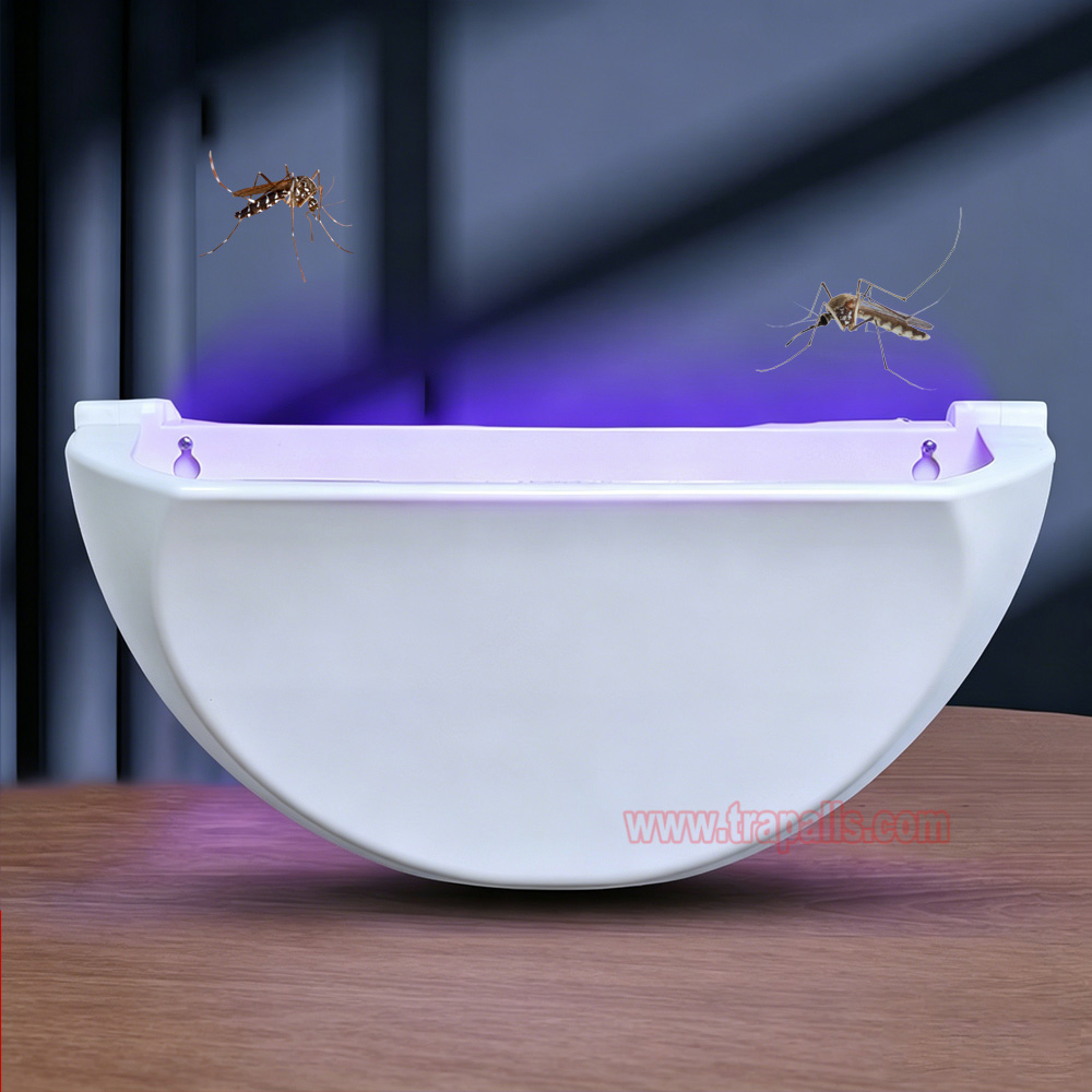 Indoor Home Plug in UV Light Flying Insect Trap with Glue Board Pest Catcher Mosquito Killer Lamp - Image 11
