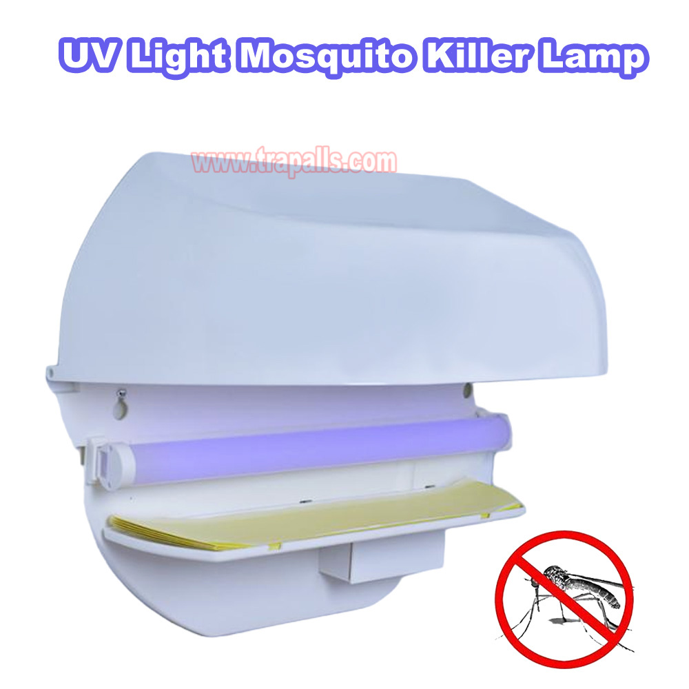 Indoor Home Plug in UV Light Flying Insect Trap with Glue Board Pest Catcher Mosquito Killer Lamp - Image 12