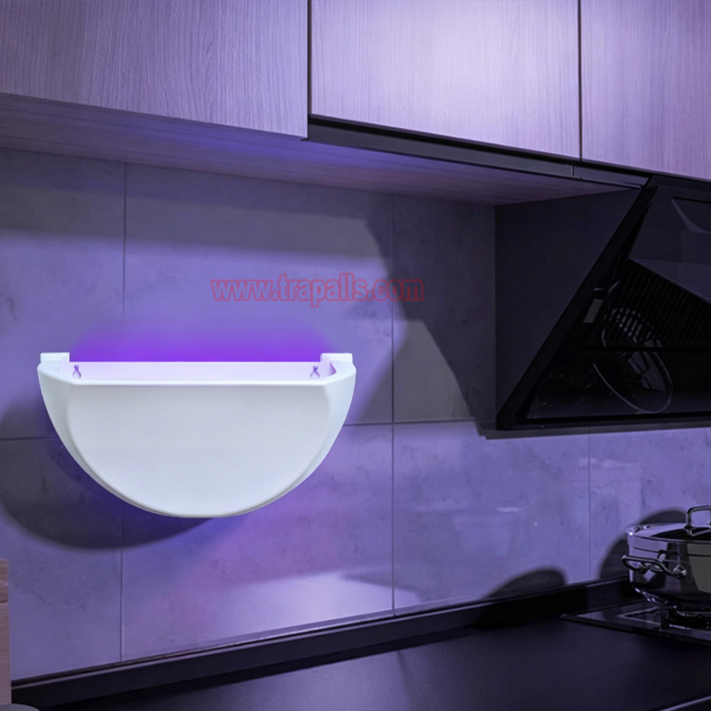Indoor Home Plug in UV Light Flying Insect Trap with Glue Board Pest Catcher Mosquito Killer Lamp - Image 16