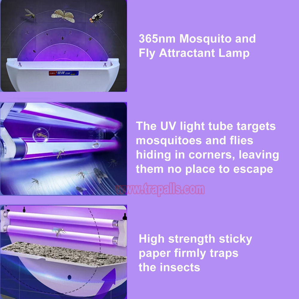 Indoor Home Plug in UV Light Flying Insect Trap with Glue Board Pest Catcher Mosquito Killer Lamp - Image 6