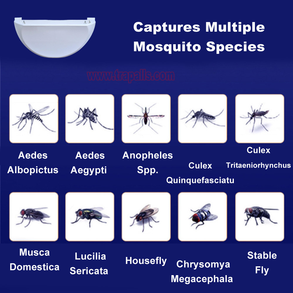 Indoor Home Plug in UV Light Flying Insect Trap with Glue Board Pest Catcher Mosquito Killer Lamp - Image 7