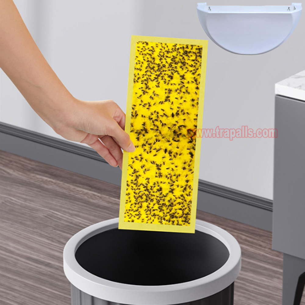 Indoor Home Plug in UV Light Flying Insect Trap with Glue Board Pest Catcher Mosquito Killer Lamp - Image 8