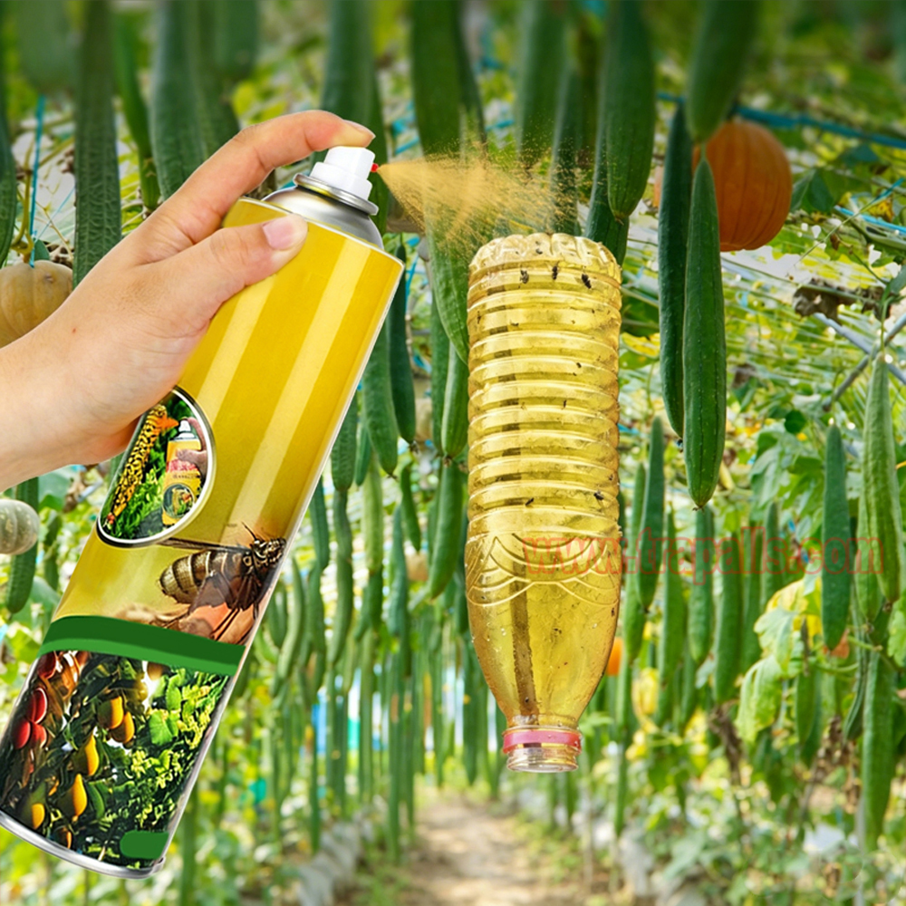 Garden Orchard Protection 850ml Fruit Fly Attractant Spray Sticky Melon Fruit Fly Trap - Image 6