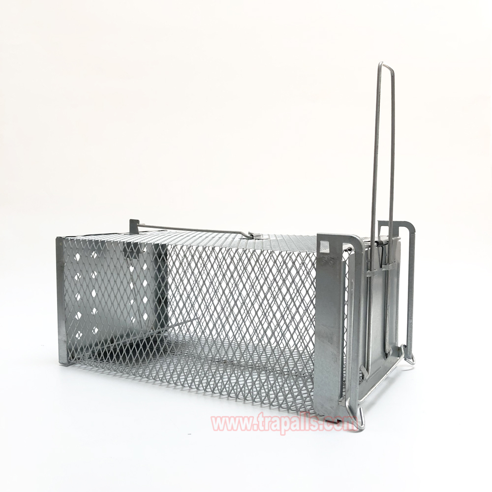 Humane Live Catch Mouse Trap Reusable Metal Cage with See-Saw Trigger Catch and Release Mouse Trap Cage - Image 2