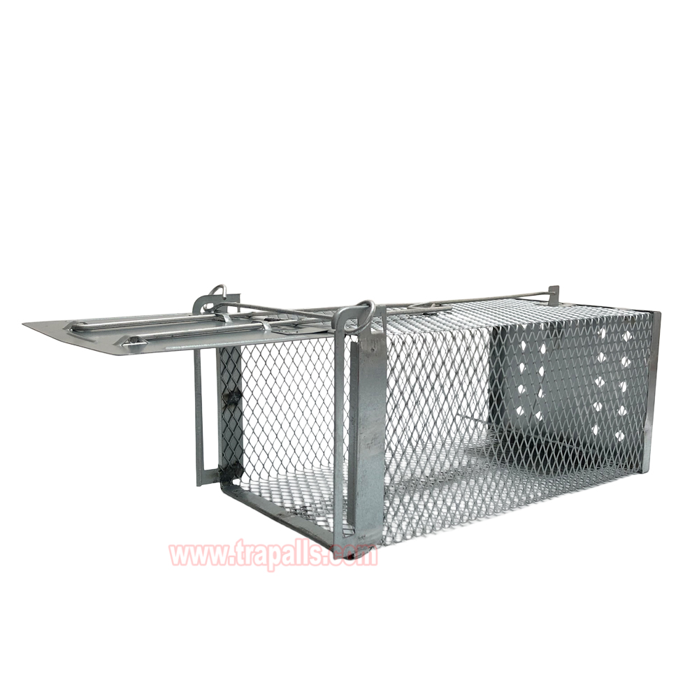Humane Live Catch Mouse Trap Reusable Metal Cage with See-Saw Trigger Catch and Release Mouse Trap Cage - Image 14