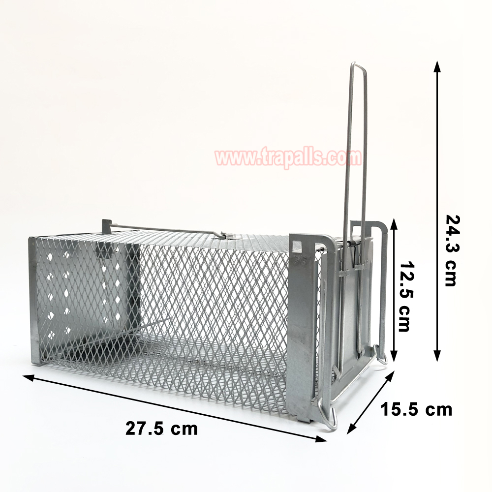 Humane Live Catch Mouse Trap Reusable Metal Cage with See-Saw Trigger Catch and Release Mouse Trap Cage - Image 3