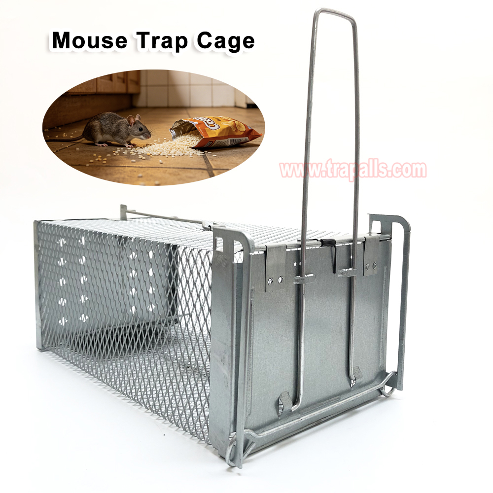 Humane Live Catch Mouse Trap Reusable Metal Cage with See-Saw Trigger Catch and Release Mouse Trap Cage - Image 4
