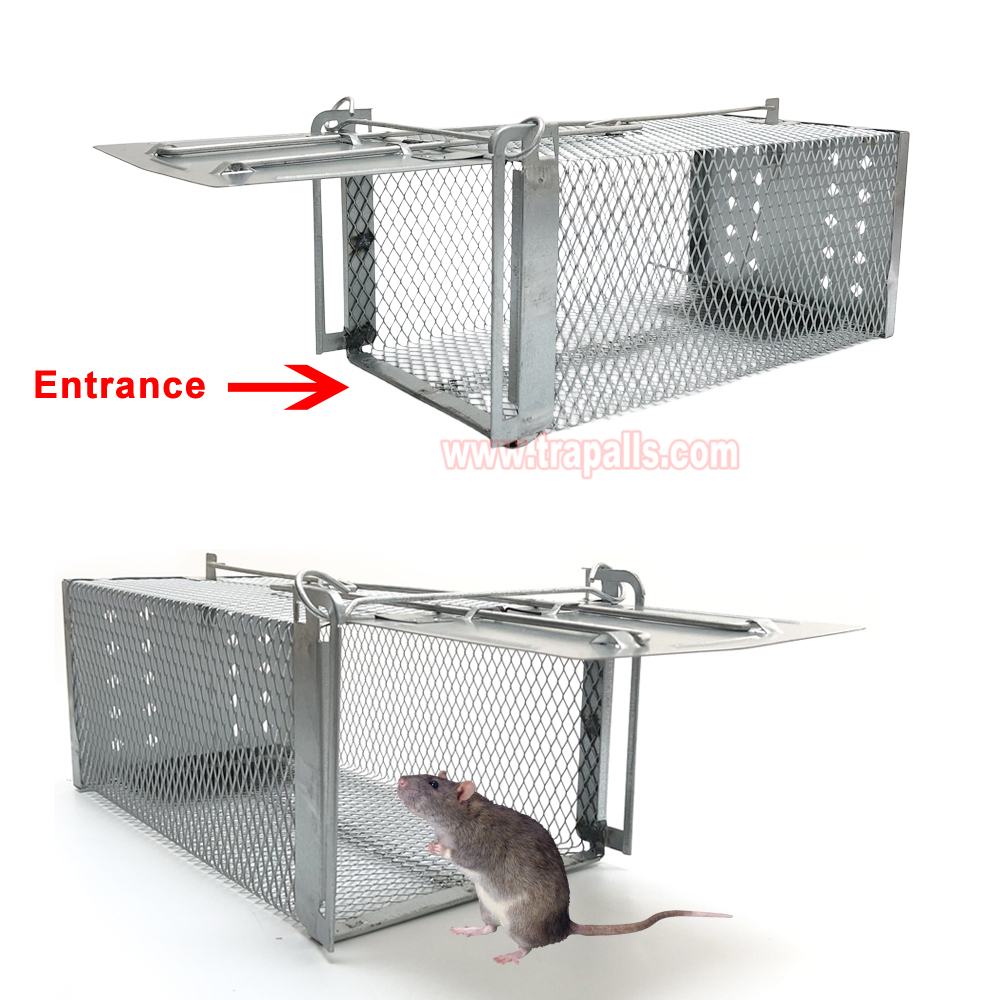 Humane Live Catch Mouse Trap Reusable Metal Cage with See-Saw Trigger Catch and Release Mouse Trap Cage - Image 5