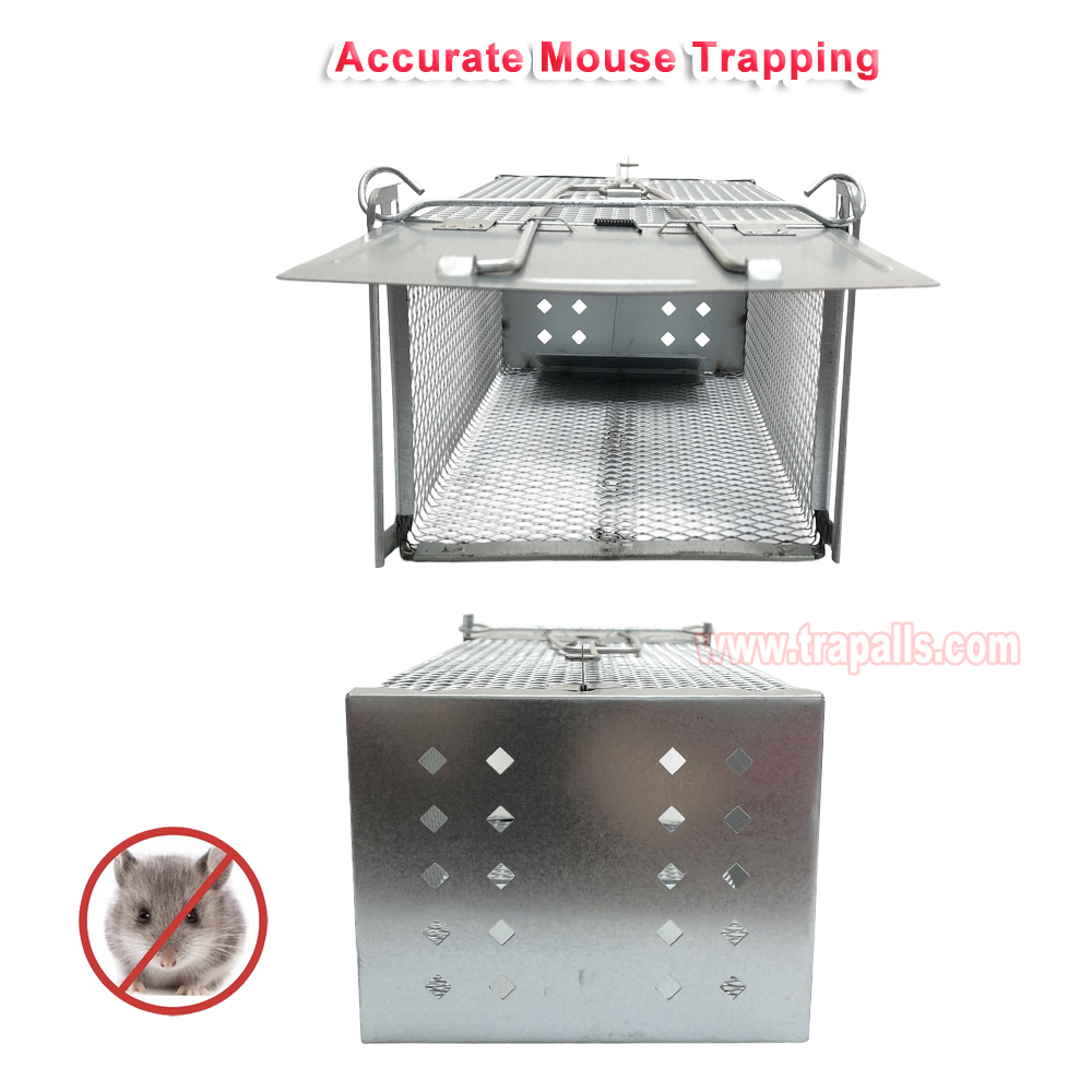 Humane Live Catch Mouse Trap Reusable Metal Cage with See-Saw Trigger Catch and Release Mouse Trap Cage - Image 6