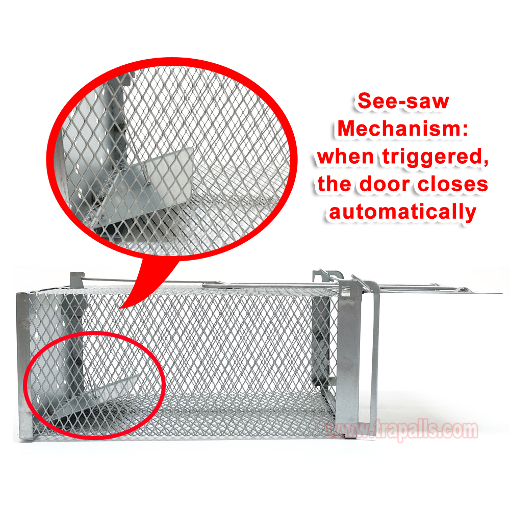 Humane Live Catch Mouse Trap Reusable Metal Cage with See-Saw Trigger Catch and Release Mouse Trap Cage - Image 7
