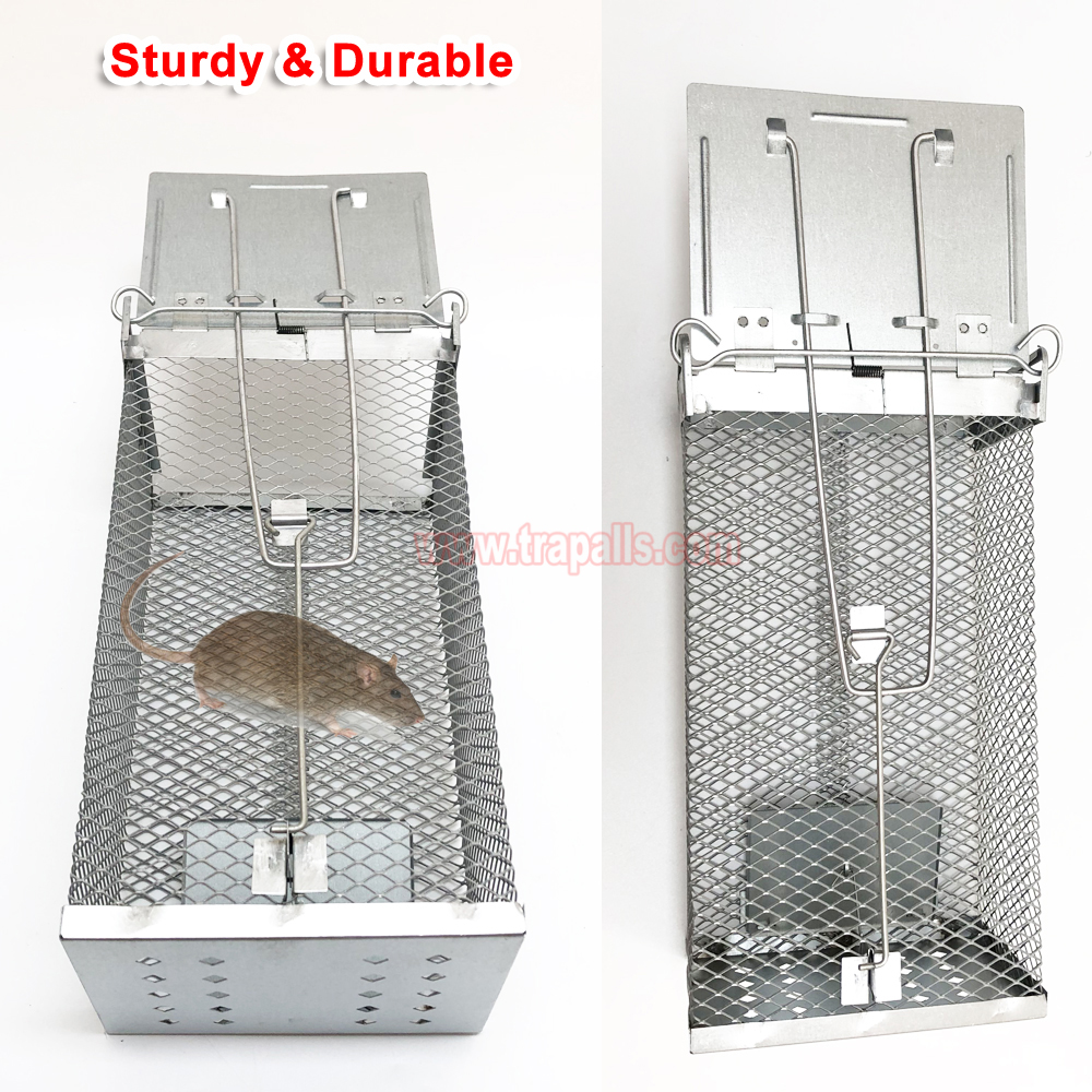Humane Live Catch Mouse Trap Reusable Metal Cage with See-Saw Trigger Catch and Release Mouse Trap Cage - Image 8