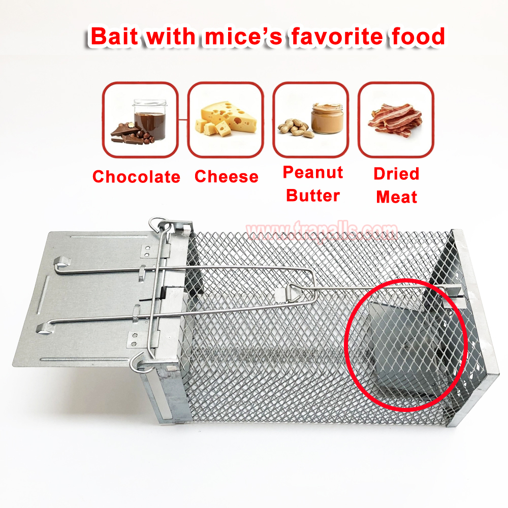 Humane Live Catch Mouse Trap Reusable Metal Cage with See-Saw Trigger Catch and Release Mouse Trap Cage - Image 9