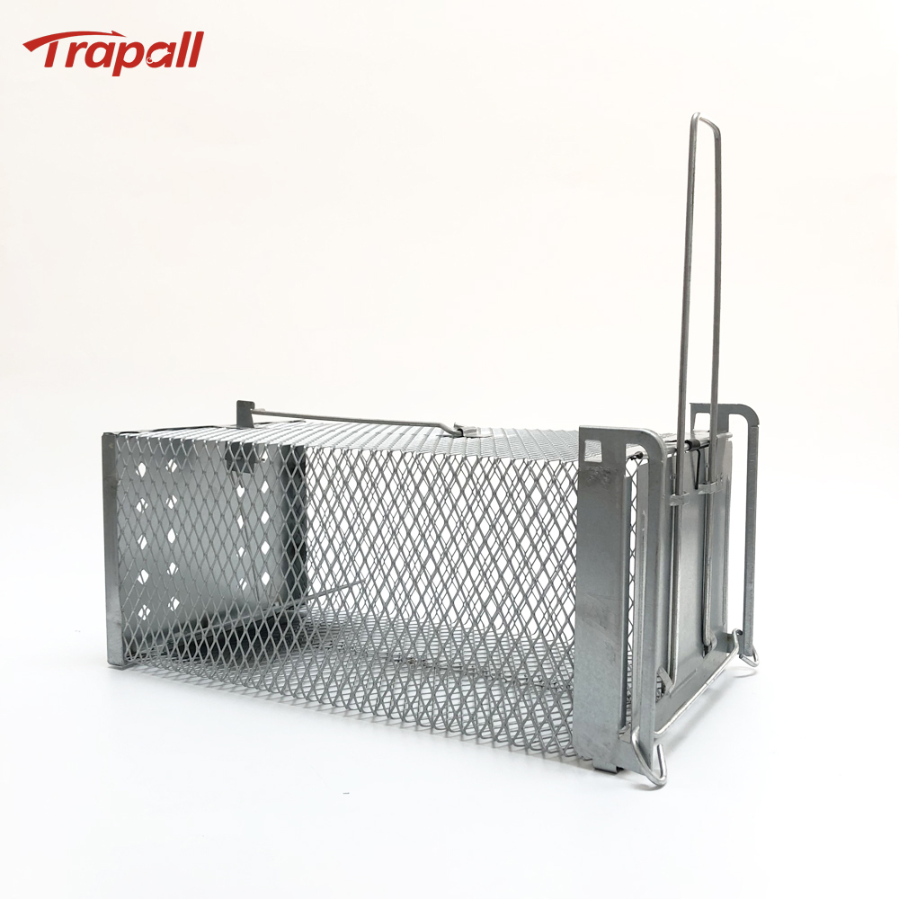 Humane Live Catch Mouse Trap Reusable Metal Cage with See-Saw Trigger Catch and Release Mouse Trap Cage