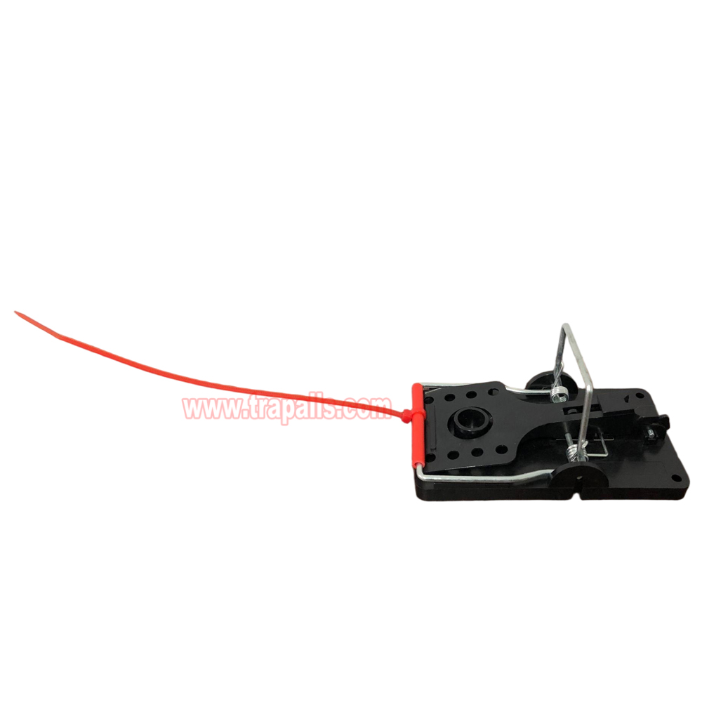 Indoor Warehouse Quick Humane Catcher Spring Trigger Mechanism Reusable Rodent Control Mouse Snap Trap - Image 2