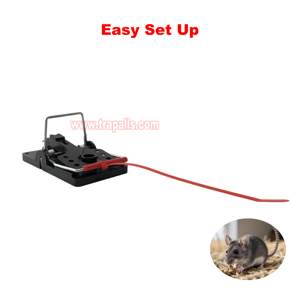 Indoor Warehouse Quick Humane Catcher Spring Trigger Mechanism Reusable Rodent Control Mouse Snap Trap - Image 4