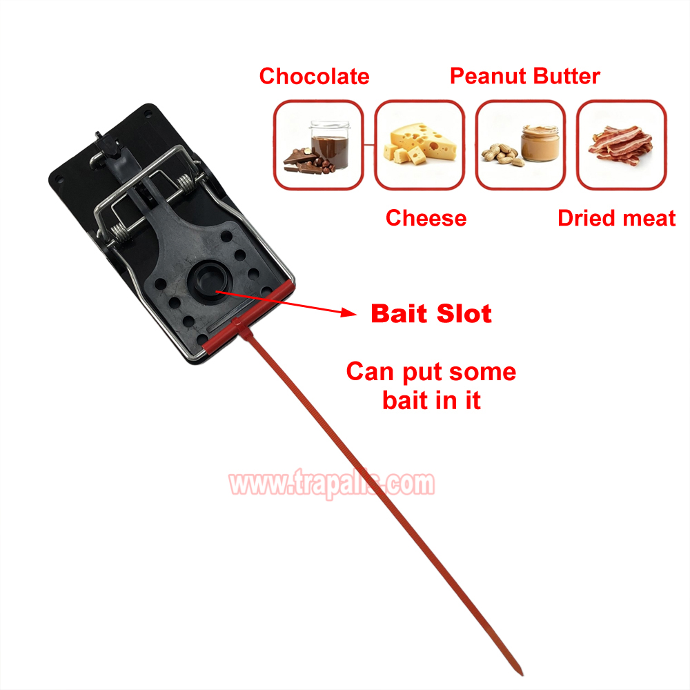 Indoor Warehouse Quick Humane Catcher Spring Trigger Mechanism Reusable Rodent Control Mouse Snap Trap - Image 5