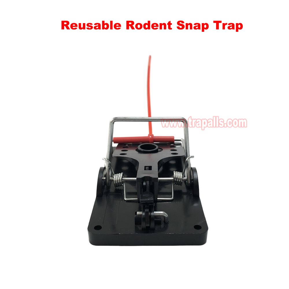 Indoor Warehouse Quick Humane Catcher Spring Trigger Mechanism Reusable Rodent Control Mouse Snap Trap - Image 6