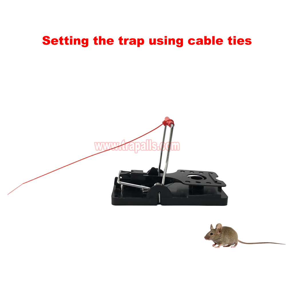 Indoor Warehouse Quick Humane Catcher Spring Trigger Mechanism Reusable Rodent Control Mouse Snap Trap - Image 7