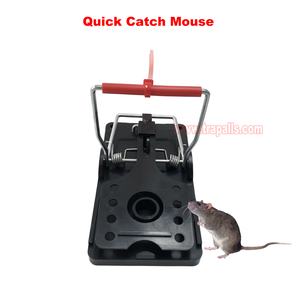 Indoor Warehouse Quick Humane Catcher Spring Trigger Mechanism Reusable Rodent Control Mouse Snap Trap - Image 8