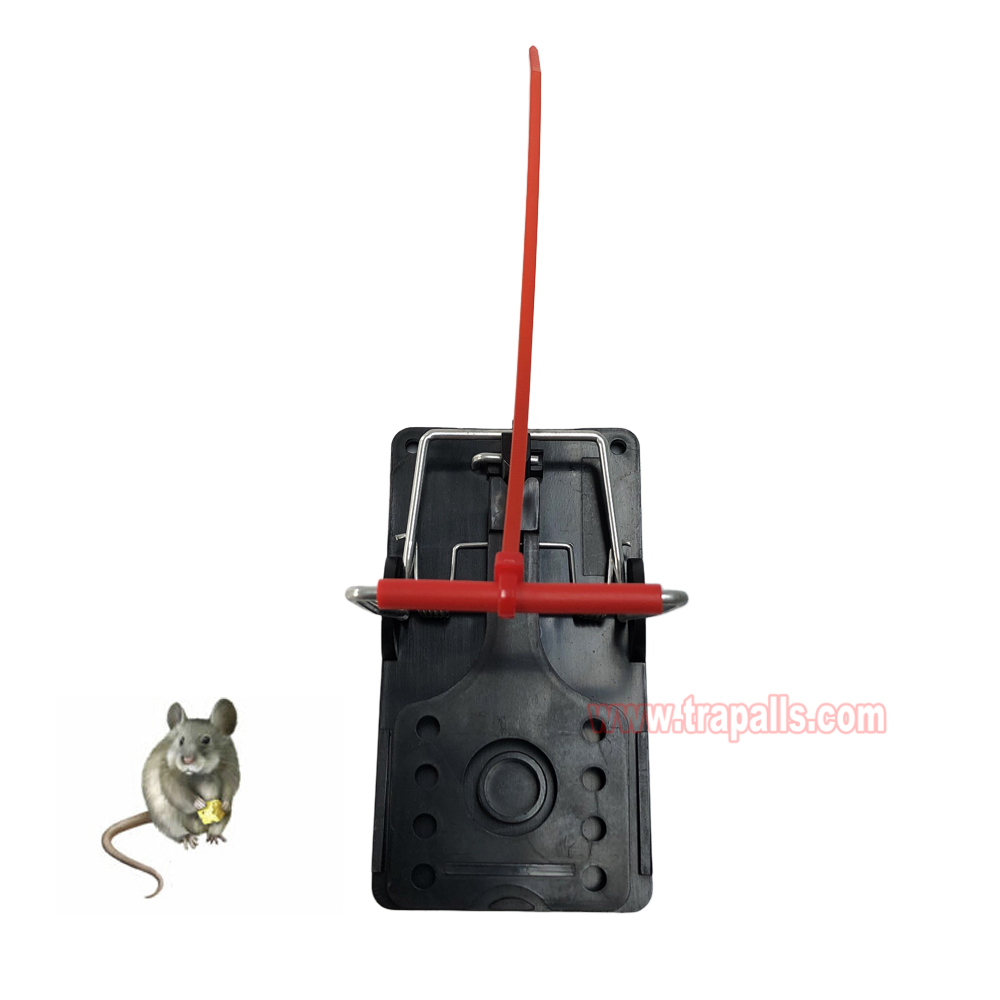 Indoor Warehouse Quick Humane Catcher Spring Trigger Mechanism Reusable Rodent Control Mouse Snap Trap - Image 9