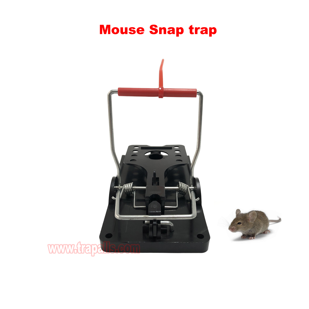 Indoor Warehouse Quick Humane Catcher Spring Trigger Mechanism Reusable Rodent Control Mouse Snap Trap - Image 10