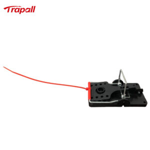 Indoor Warehouse Quick Humane Catcher Spring Trigger Mechanism Reusable Rodent Control Mouse Snap Trap