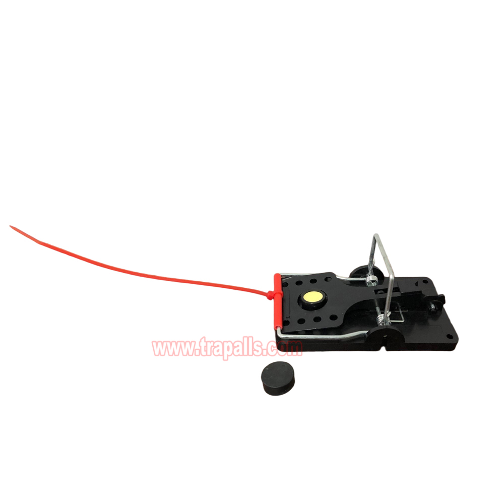 Indoor Warehouse Quick Catcher Spring Trigger Mechanism Reusable Rodent Control with Bait Mouse Snap Trap - Image 2