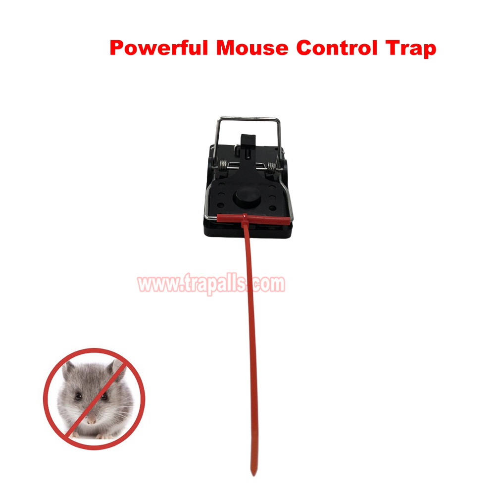 Indoor Warehouse Quick Catcher Spring Trigger Mechanism Reusable Rodent Control with Bait Mouse Snap Trap - Image 4