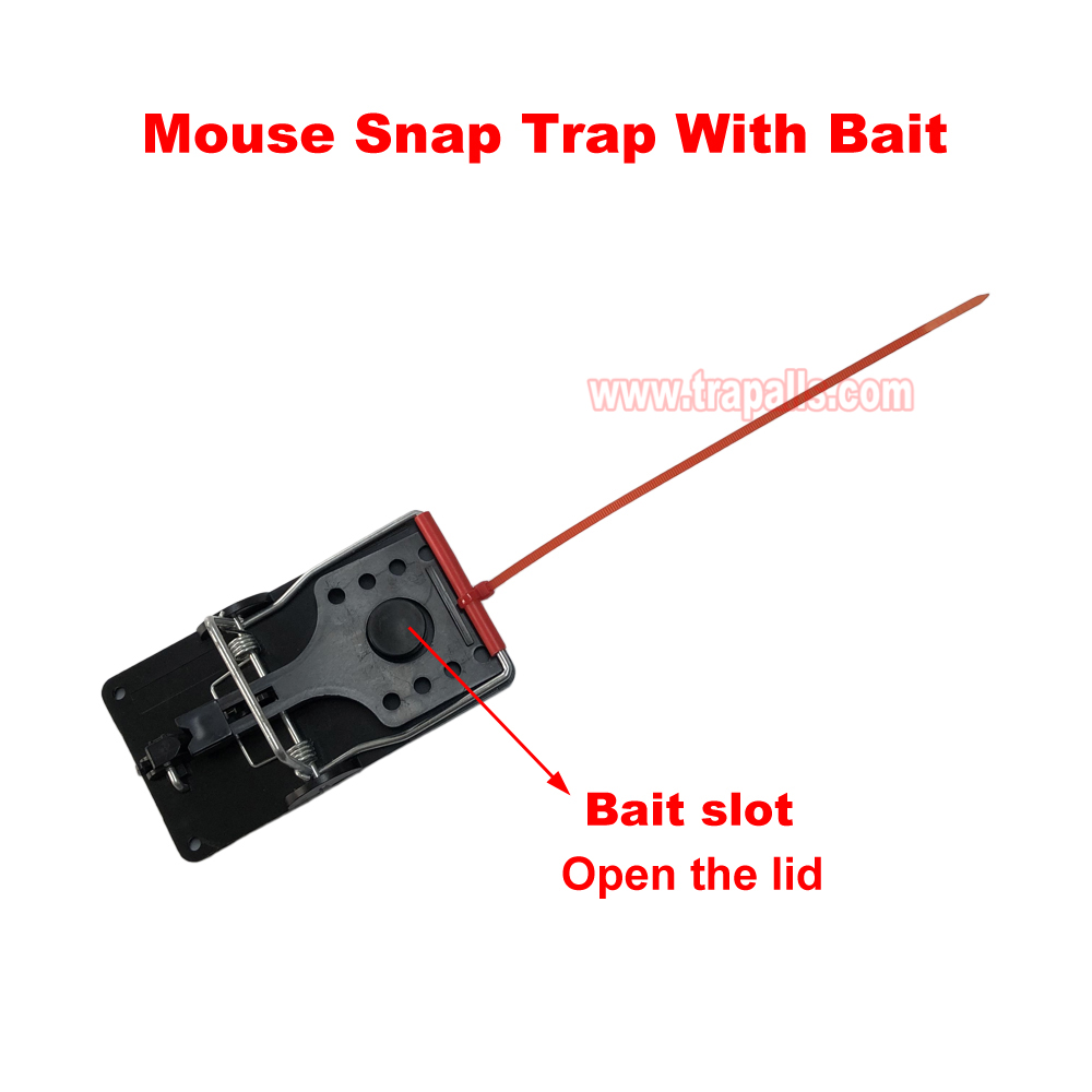 Indoor Warehouse Quick Catcher Spring Trigger Mechanism Reusable Rodent Control with Bait Mouse Snap Trap - Image 5