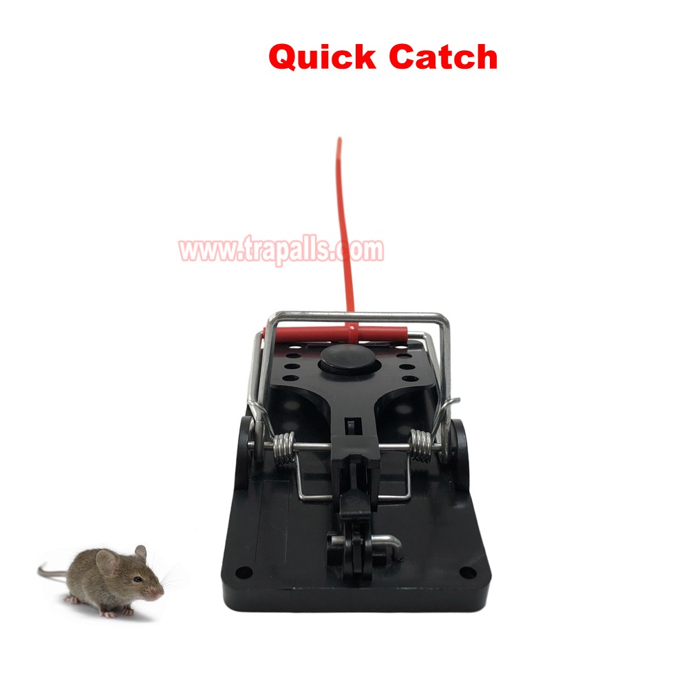 Indoor Warehouse Quick Catcher Spring Trigger Mechanism Reusable Rodent Control with Bait Mouse Snap Trap - Image 6