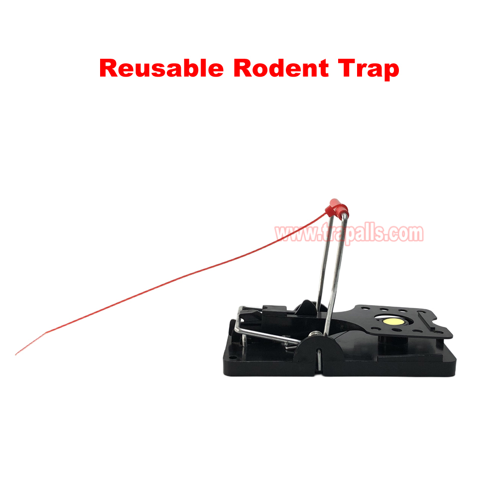 Indoor Warehouse Quick Catcher Spring Trigger Mechanism Reusable Rodent Control with Bait Mouse Snap Trap - Image 7