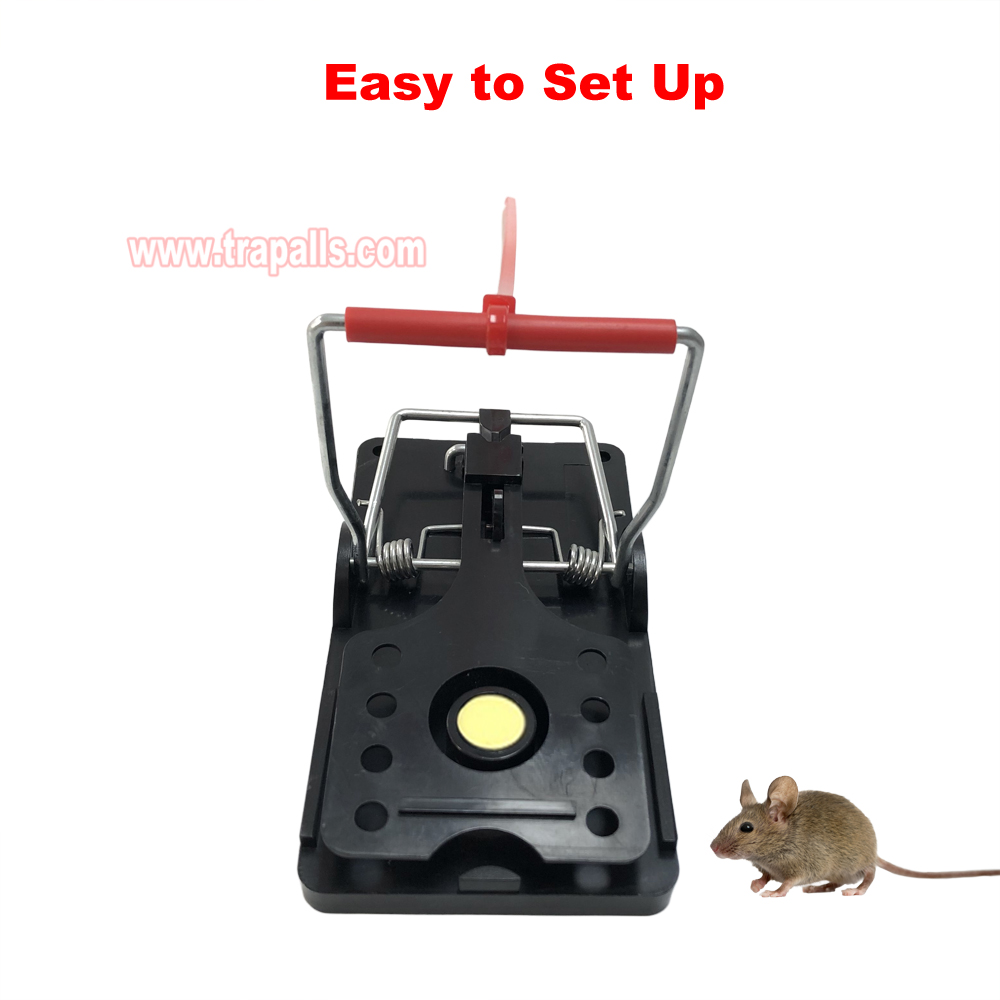 Indoor Warehouse Quick Catcher Spring Trigger Mechanism Reusable Rodent Control with Bait Mouse Snap Trap - Image 8