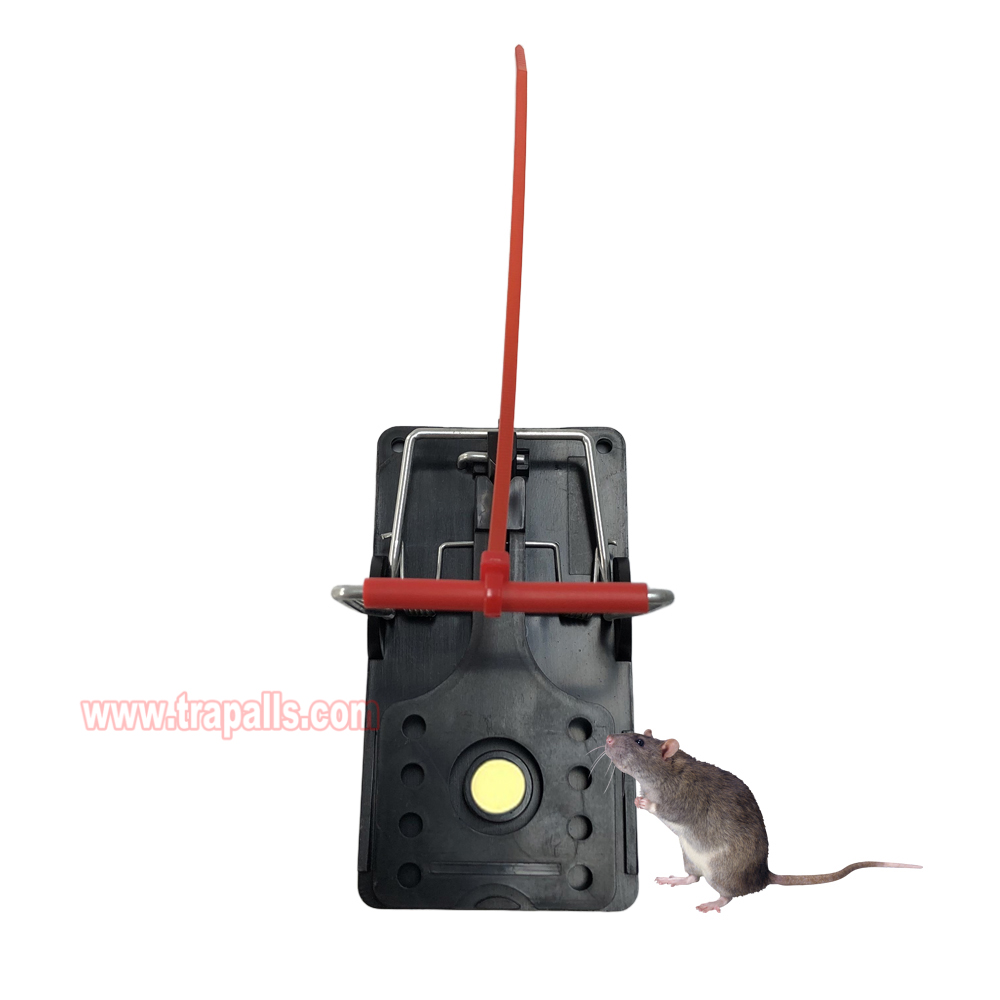 Indoor Warehouse Quick Catcher Spring Trigger Mechanism Reusable Rodent Control with Bait Mouse Snap Trap - Image 9