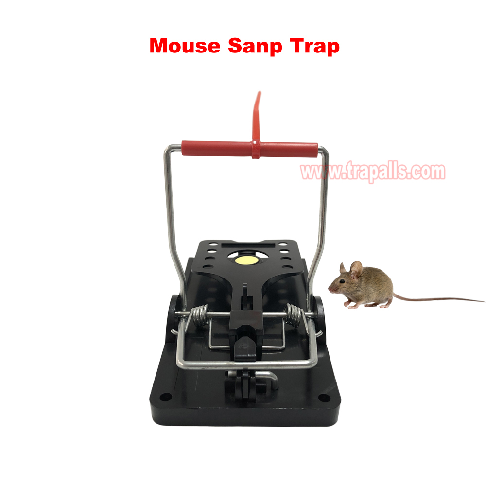Indoor Warehouse Quick Catcher Spring Trigger Mechanism Reusable Rodent Control with Bait Mouse Snap Trap - Image 10