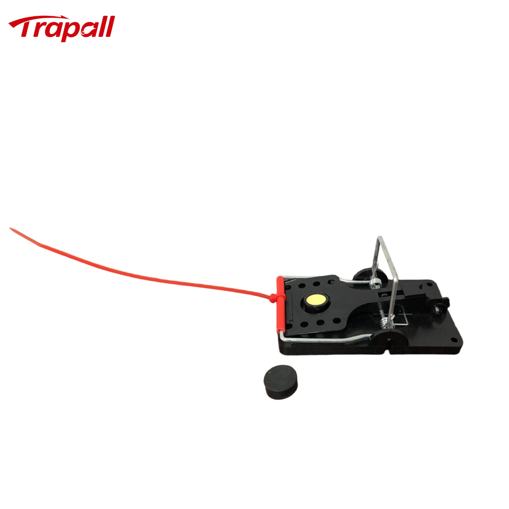 Indoor Warehouse Quick Catcher Spring Trigger Mechanism Reusable Rodent Control with Bait Mouse Snap Trap