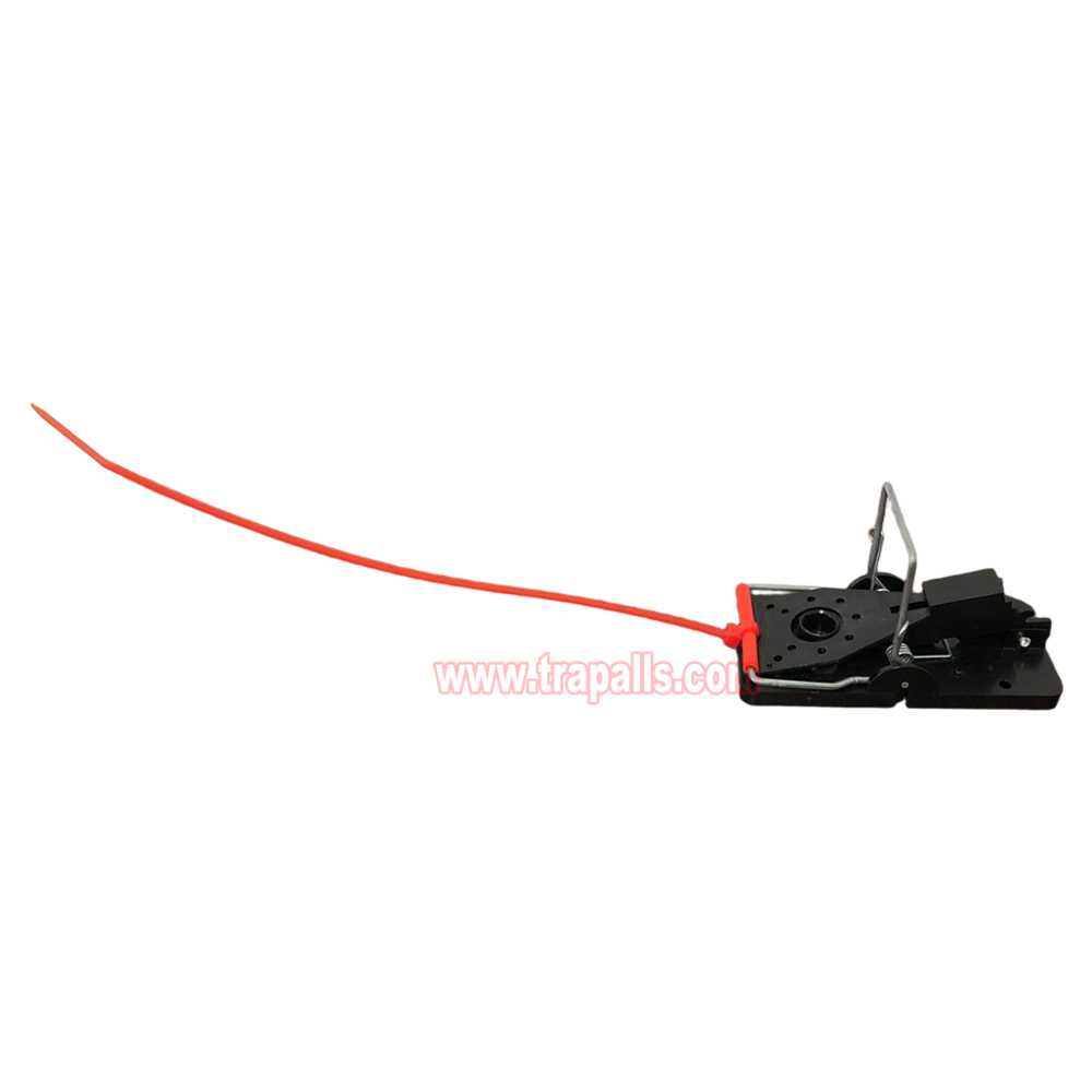 Indoor Warehouse Quick Humane Catcher Spring Trigger Mechanism Reusable Rodent Control Mouse Snap Trap - Image 2
