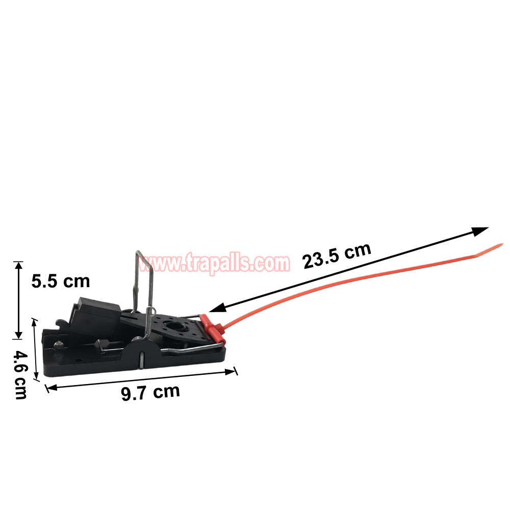 Indoor Warehouse Quick Humane Catcher Spring Trigger Mechanism Reusable Rodent Control Mouse Snap Trap - Image 3