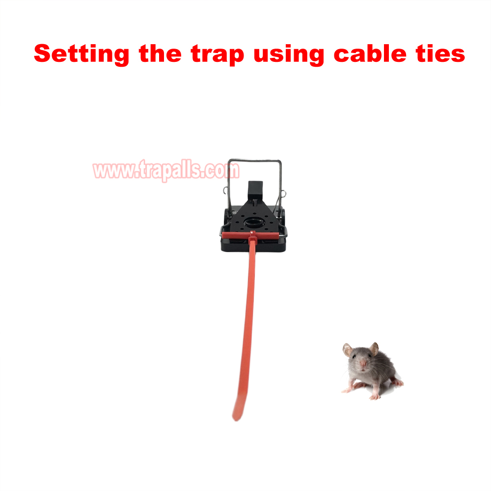 Indoor Warehouse Quick Humane Catcher Spring Trigger Mechanism Reusable Rodent Control Mouse Snap Trap - Image 4