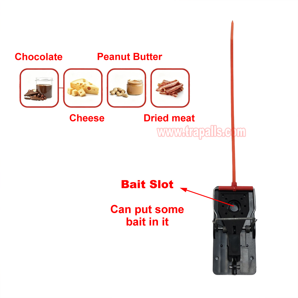 Indoor Warehouse Quick Humane Catcher Spring Trigger Mechanism Reusable Rodent Control Mouse Snap Trap - Image 5