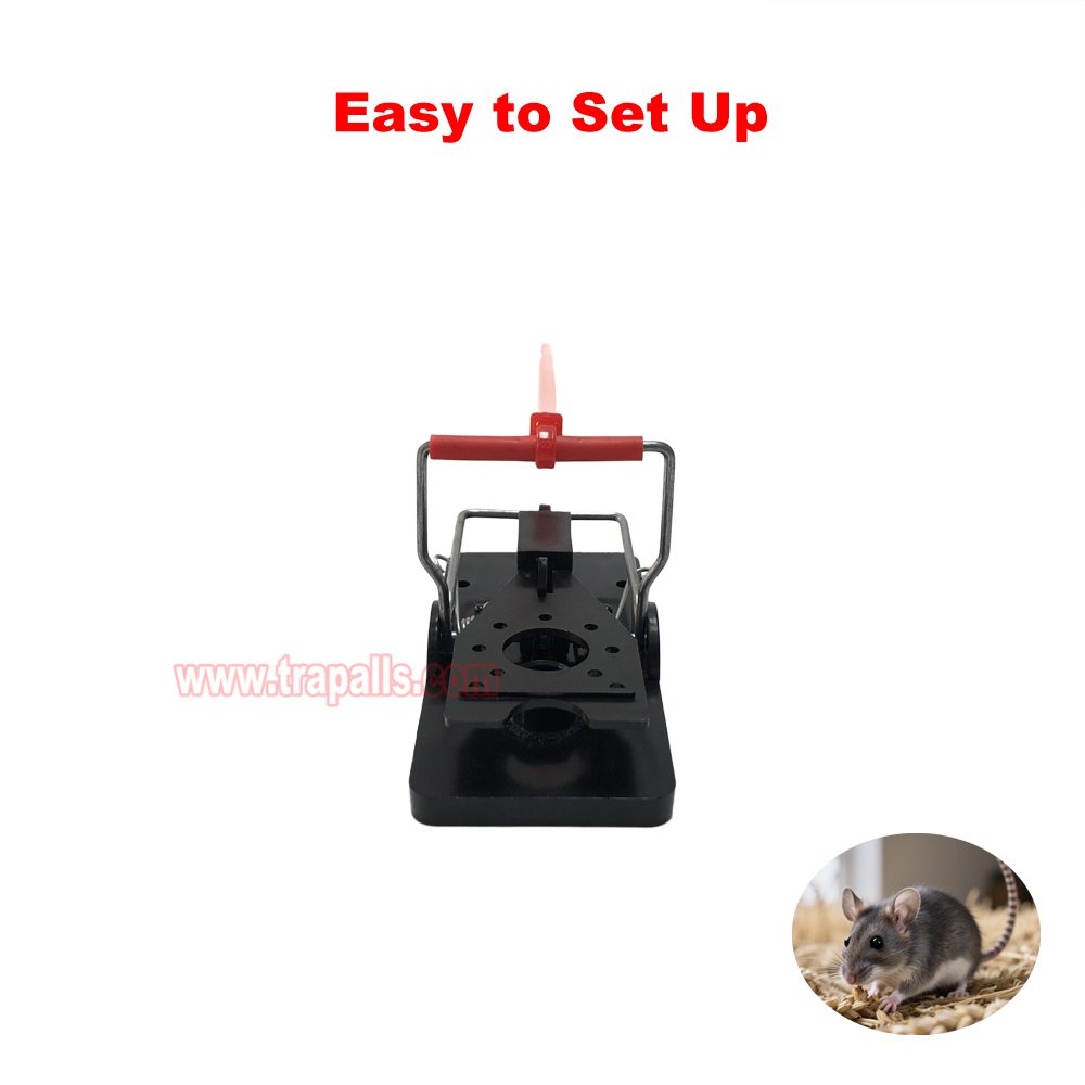 Indoor Warehouse Quick Humane Catcher Spring Trigger Mechanism Reusable Rodent Control Mouse Snap Trap - Image 7