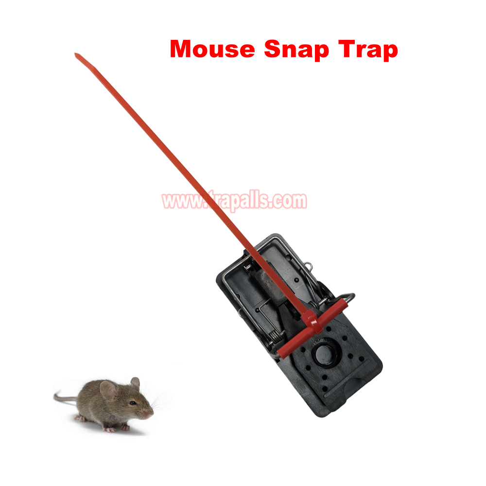 Indoor Warehouse Quick Humane Catcher Spring Trigger Mechanism Reusable Rodent Control Mouse Snap Trap - Image 8
