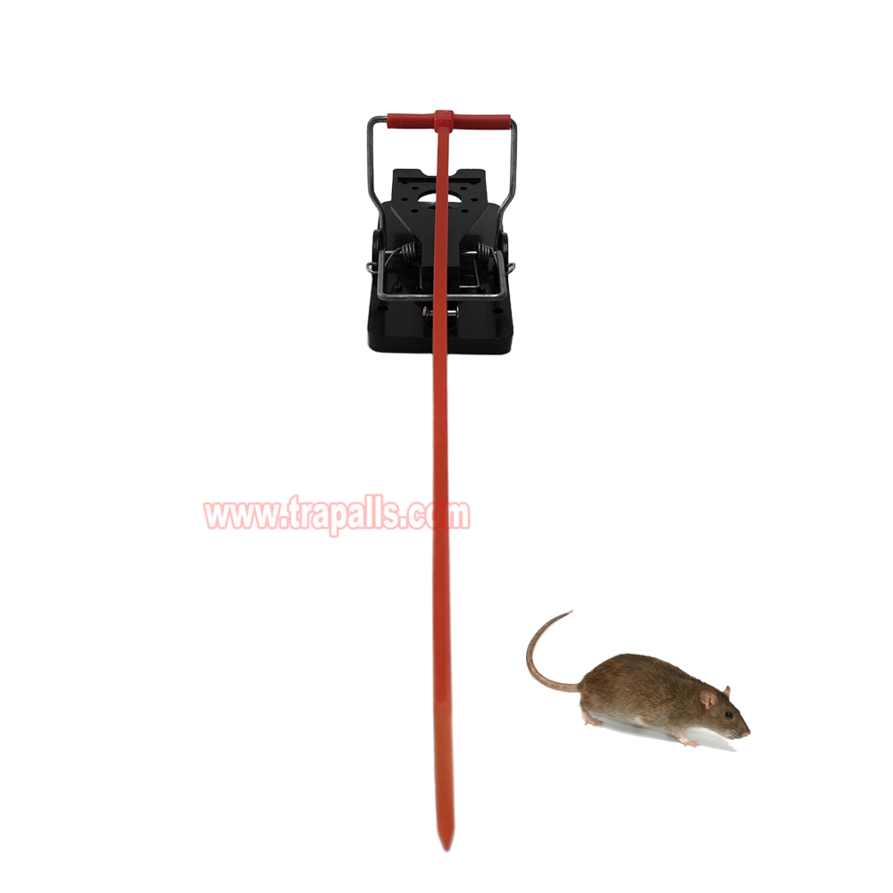 Indoor Warehouse Quick Humane Catcher Spring Trigger Mechanism Reusable Rodent Control Mouse Snap Trap - Image 9